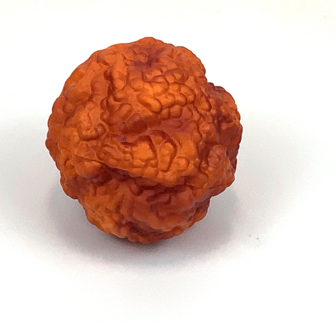 Virus Capsid