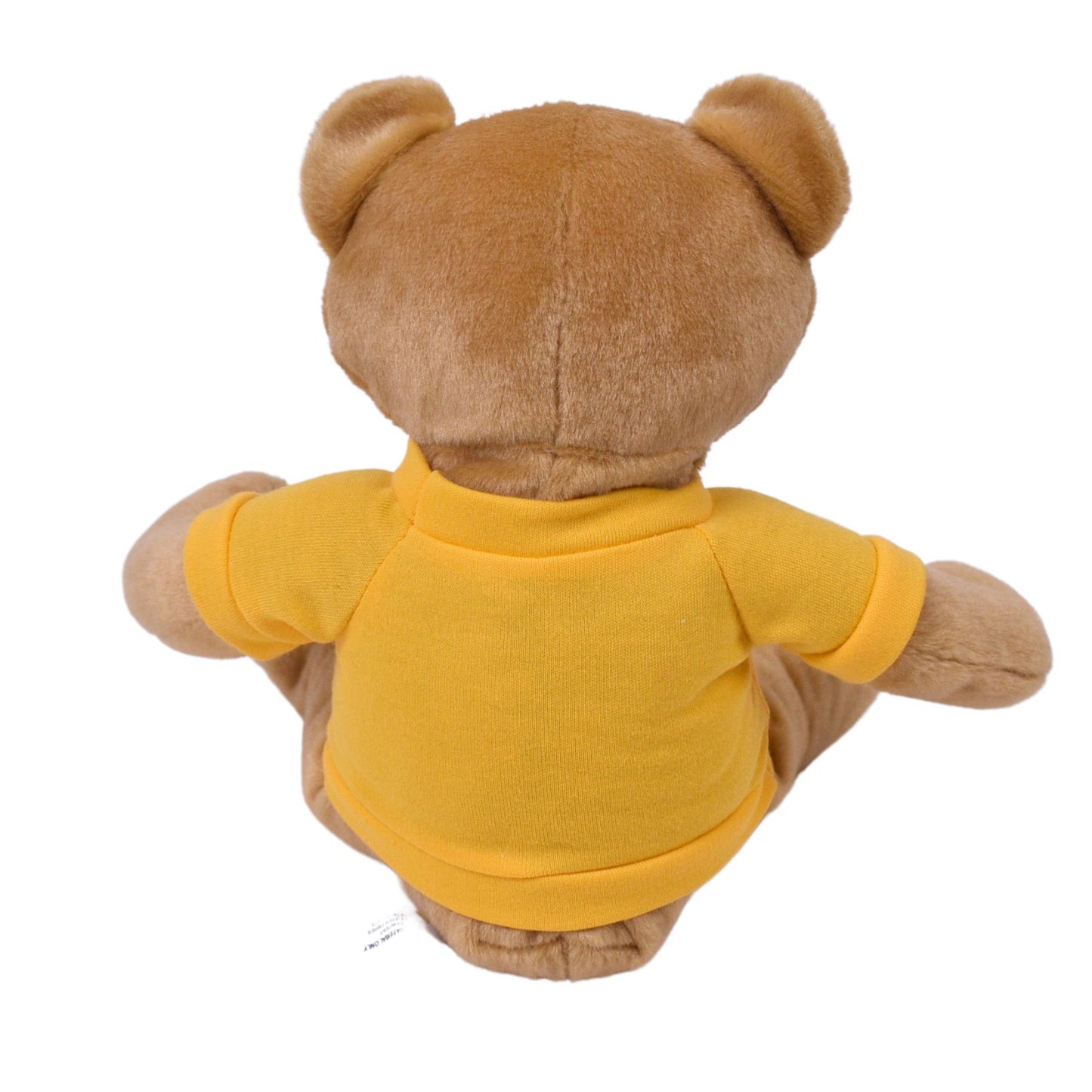 Sammy Bear