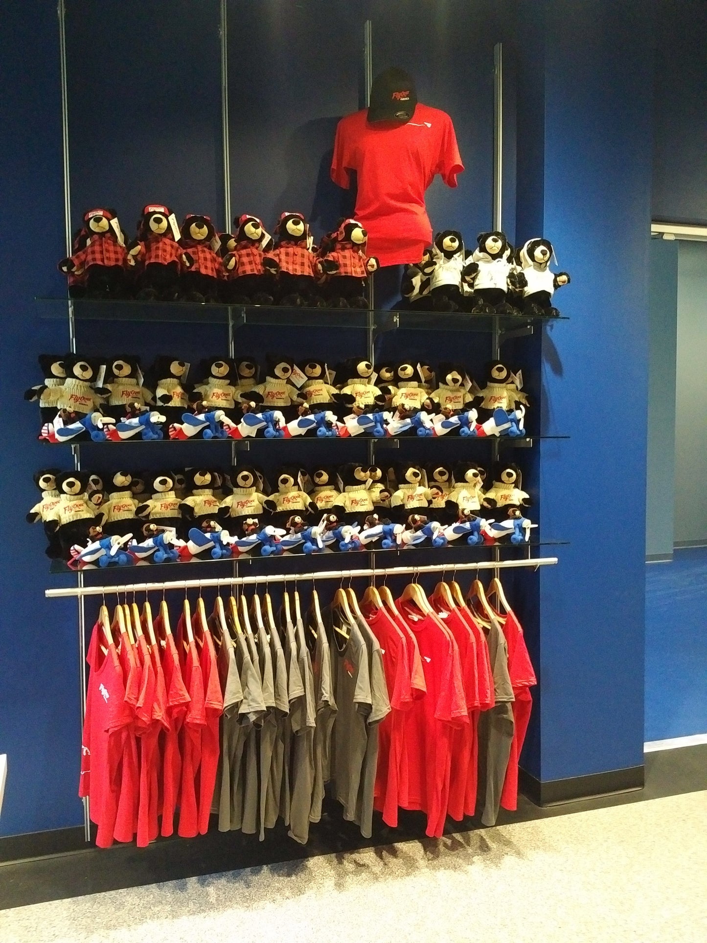 Fly Over America Bear