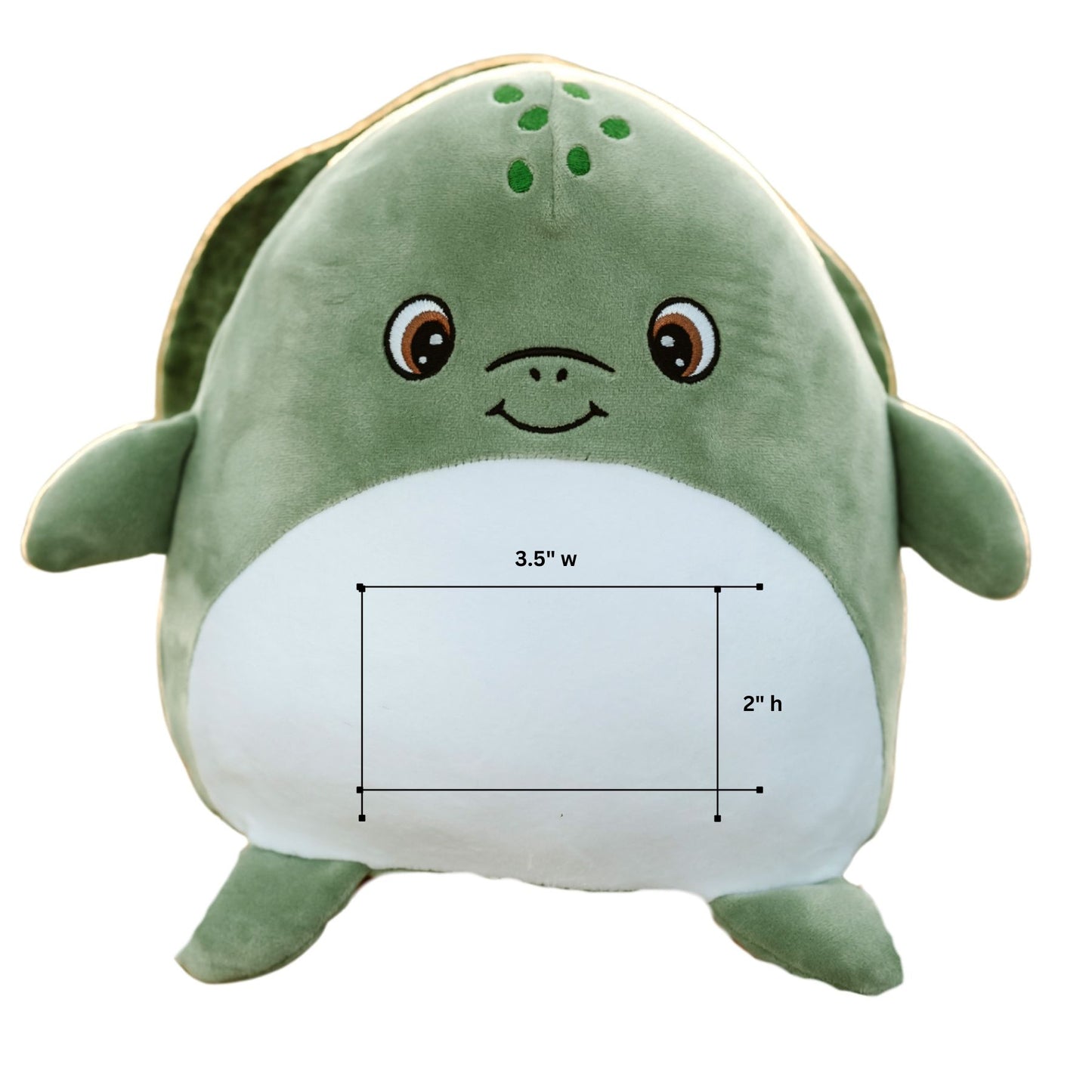 Teagan the Turtle
