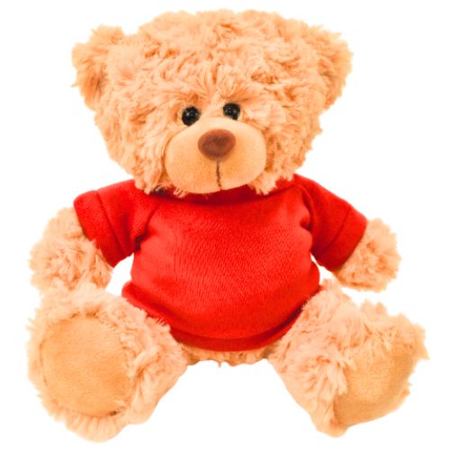 11" Cooper Bear with T-Shirt JT-32981