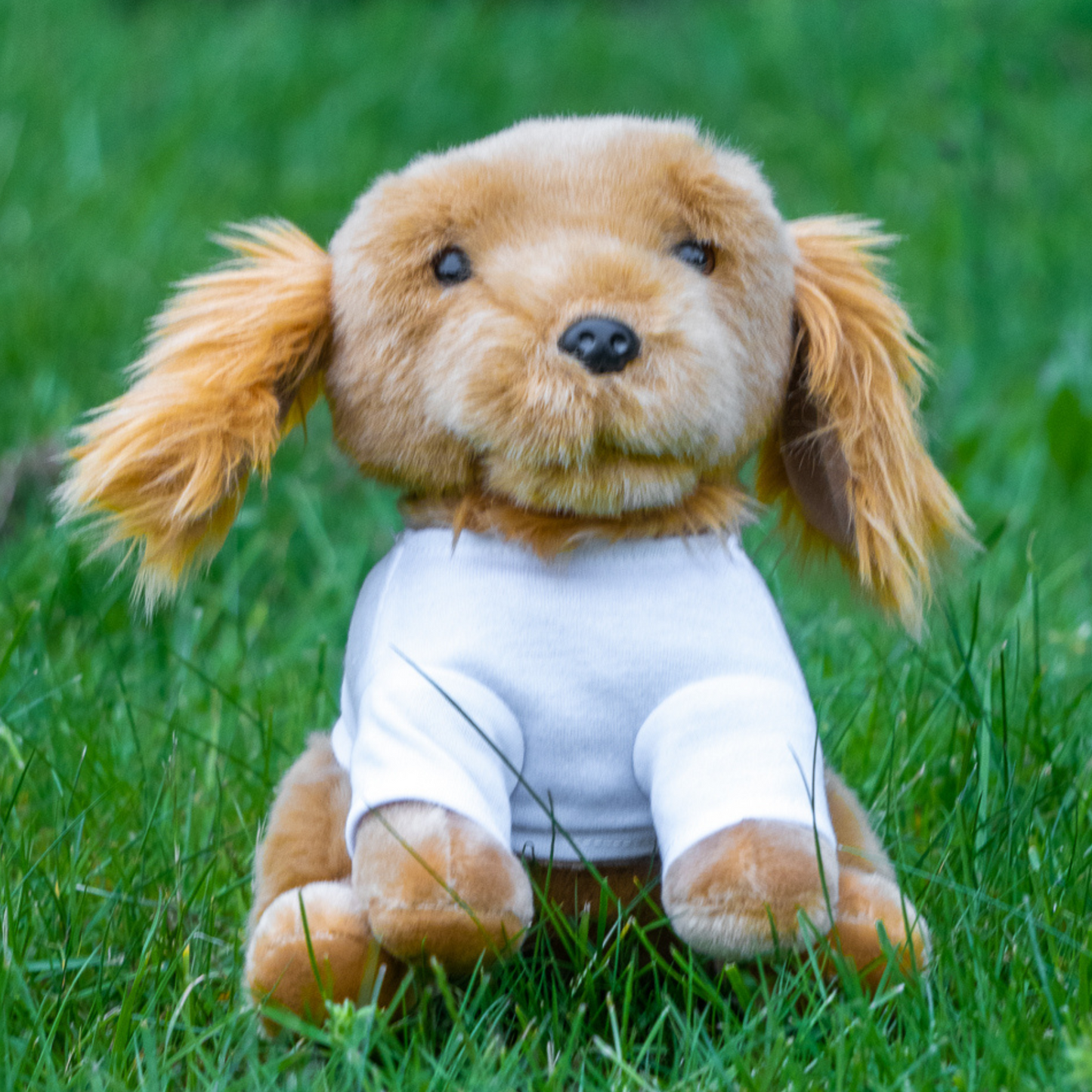 Marley 8" Golden Retriever with T-Shirt