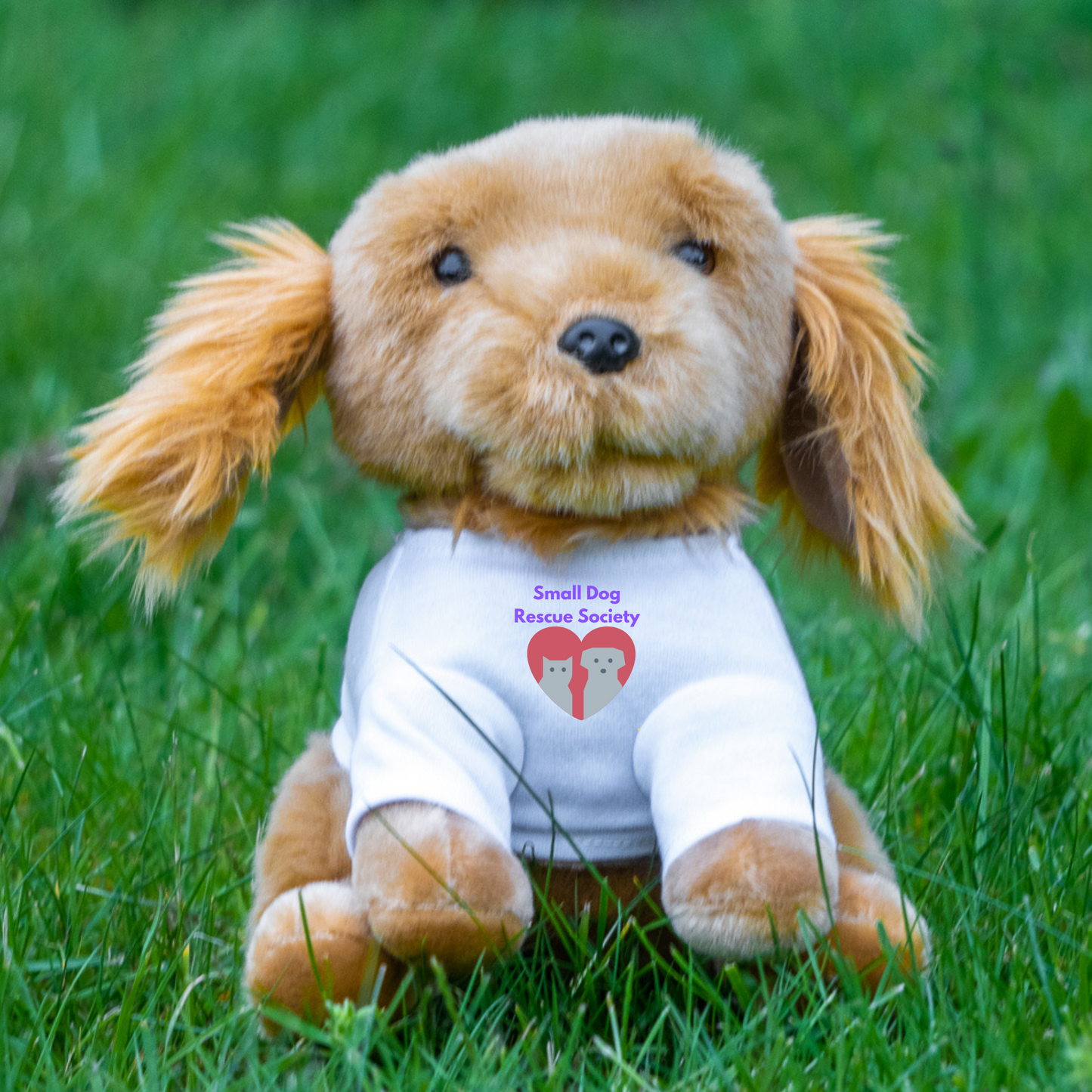 Marley 8" Golden Retriever with T-Shirt