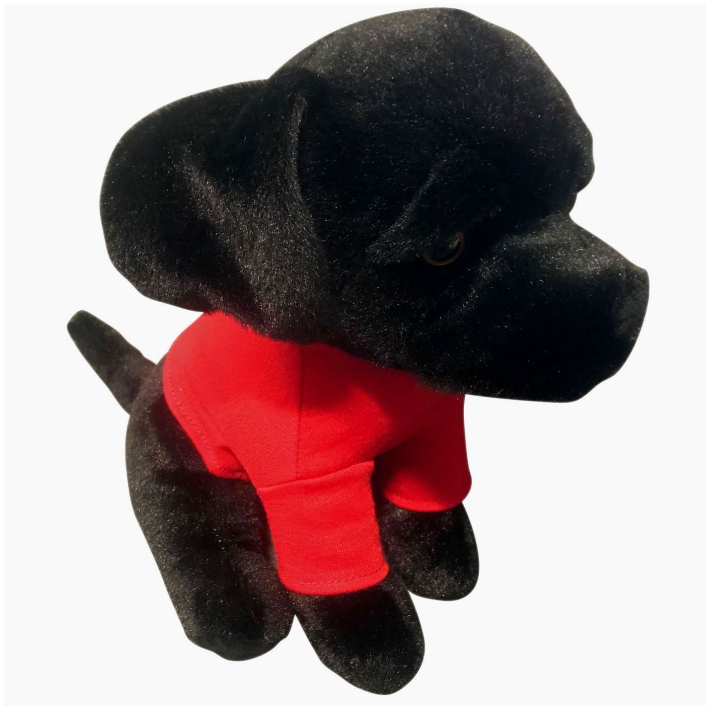 Onyx 8" Black Labrador