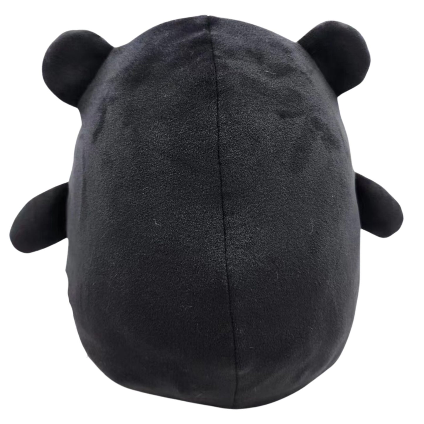 Benny the Black Bear