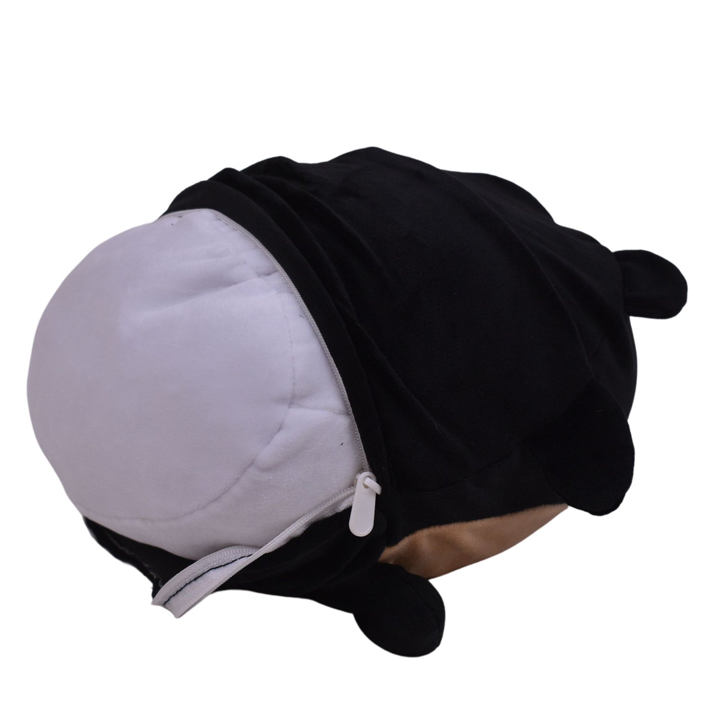 Benny the Black Bear