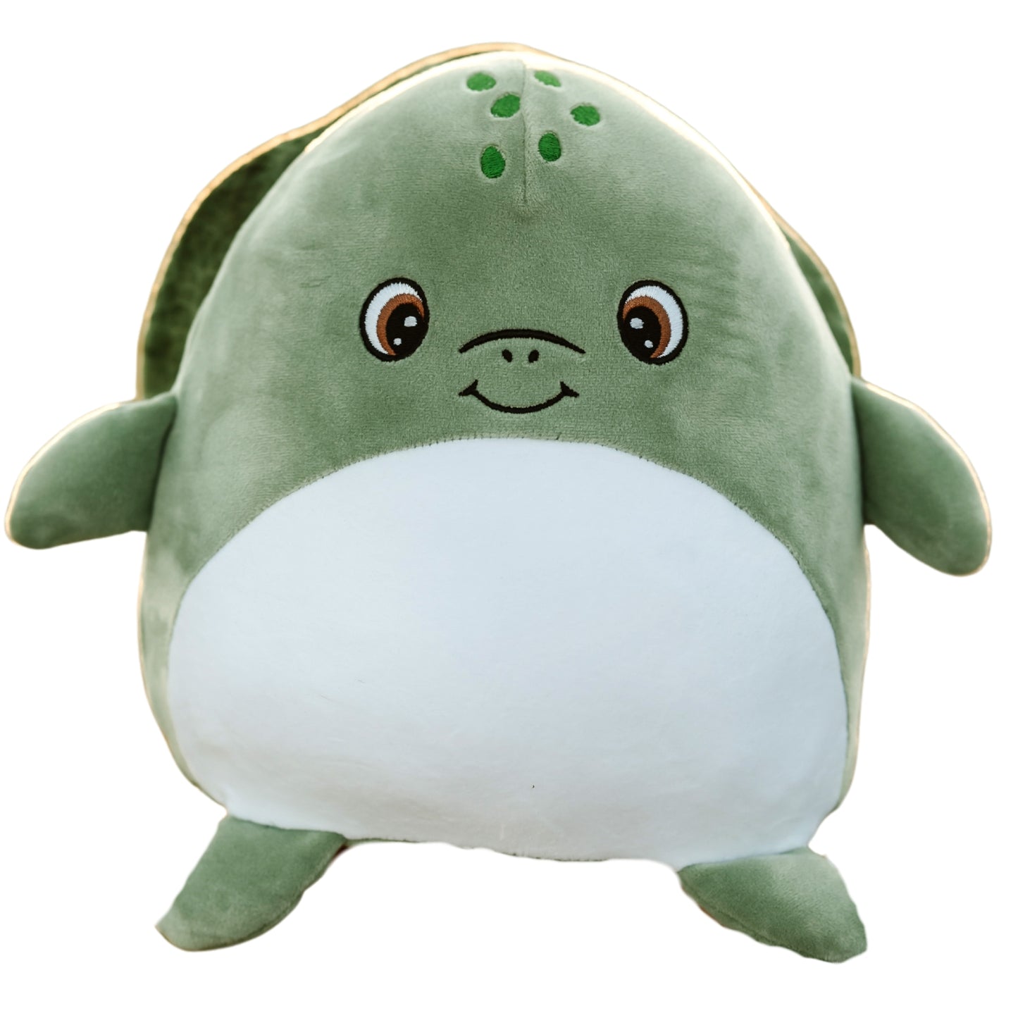 Teagan the Turtle