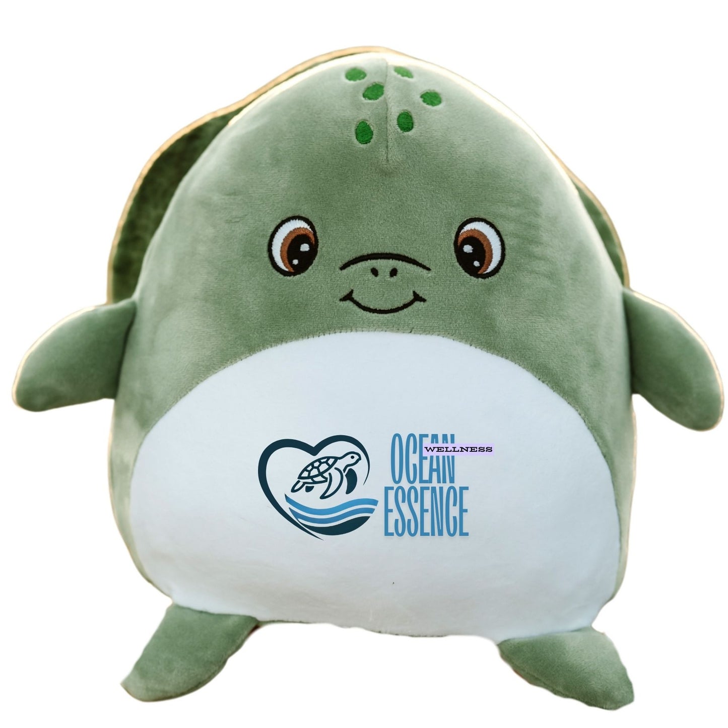 Teagan the Turtle
