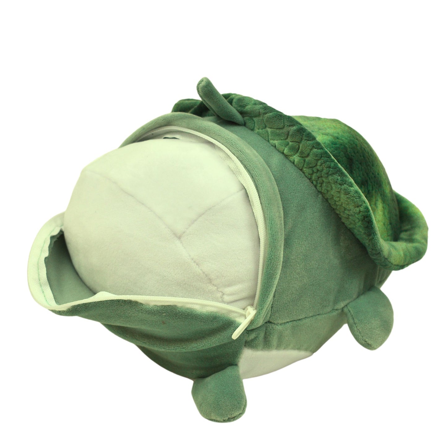 Teagan the Turtle