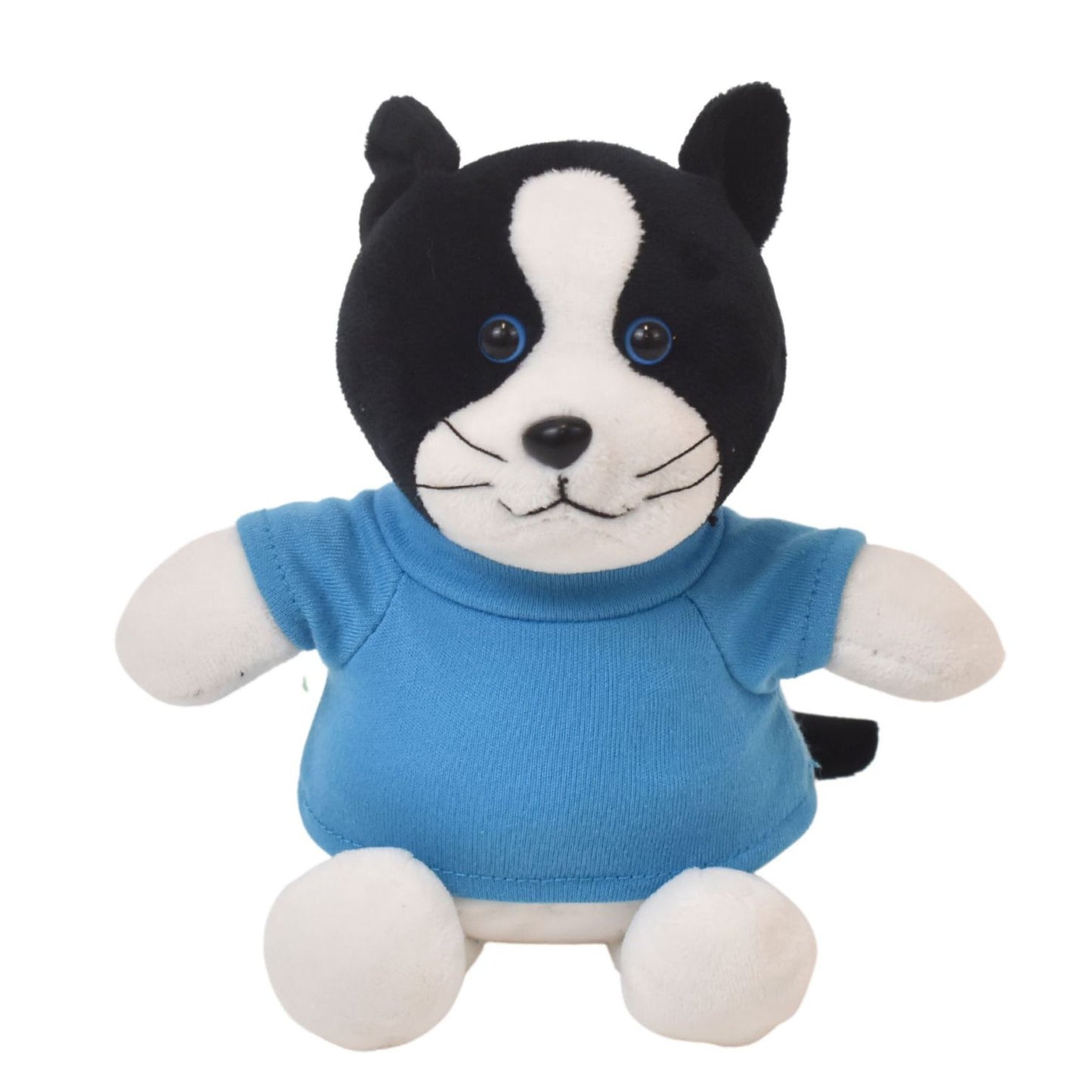 Cassidy Cat (6" Mini Me Collection)