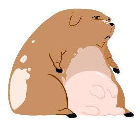PuppyCow