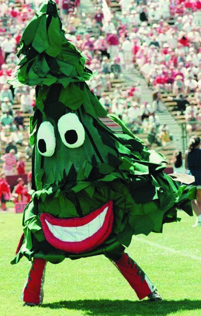 Stanford Tree