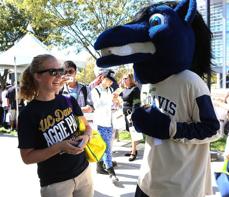 UC Davis Mascot