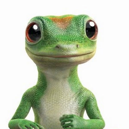 Geico Custom