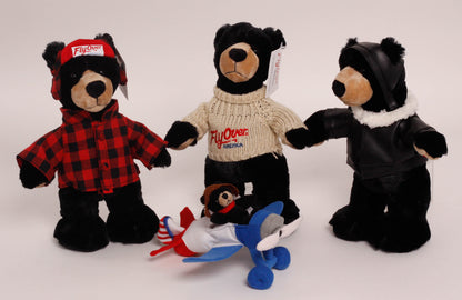 Fly Over America Bear