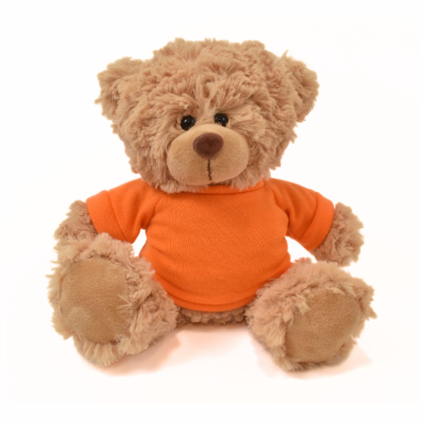 11" Cooper Bear with T-Shirt