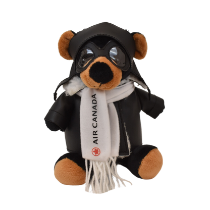 Mini Me Beau Bear Pilot