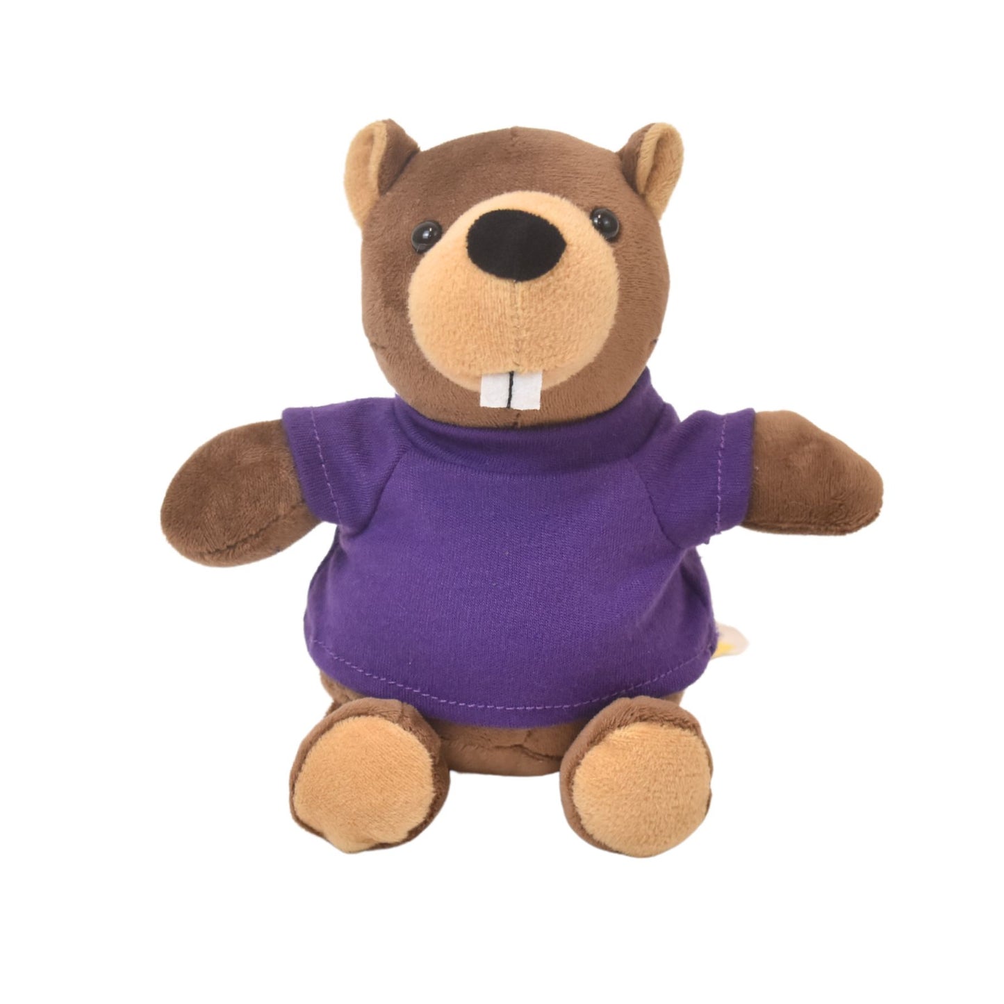 Bizzie Beaver (6" Mini Me Collection)